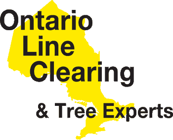 Ontario Line Clearing